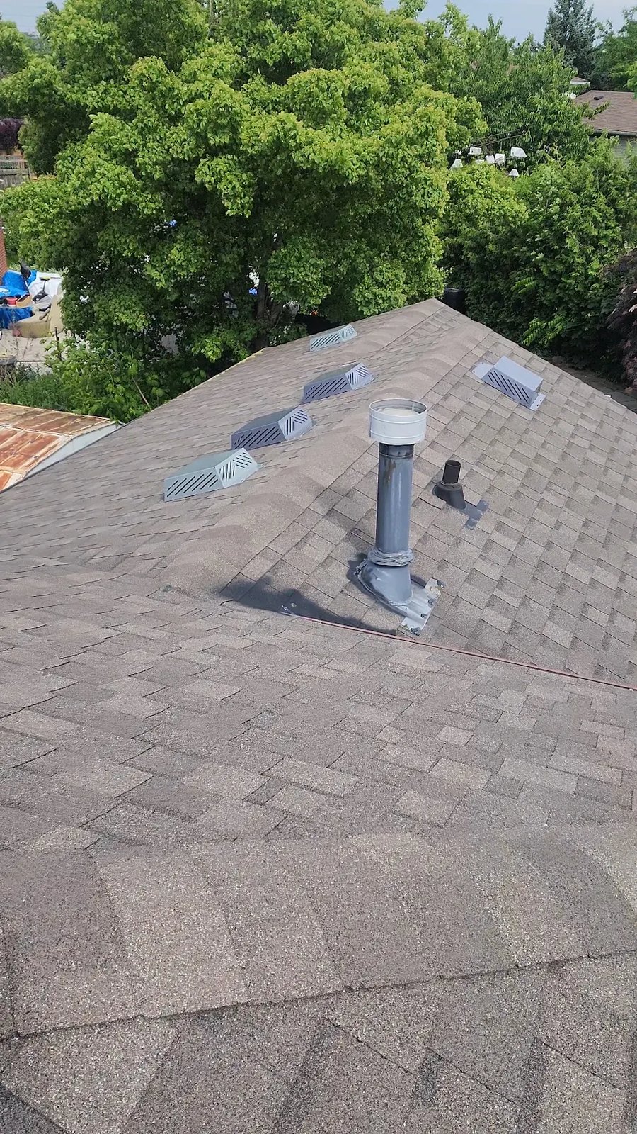 Row of box vents and a re-flashed plumbing vent stack on a roof in London, Ontario